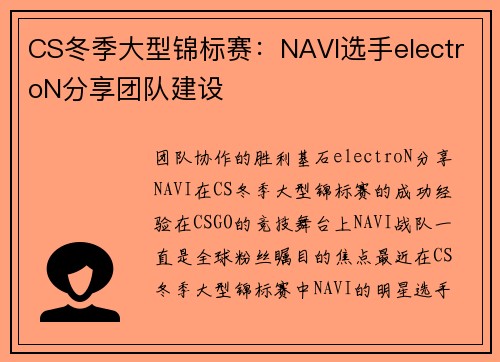 CS冬季大型锦标赛：NAVI选手electroN分享团队建设